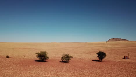 namibia desierto de kalahari en áfrica