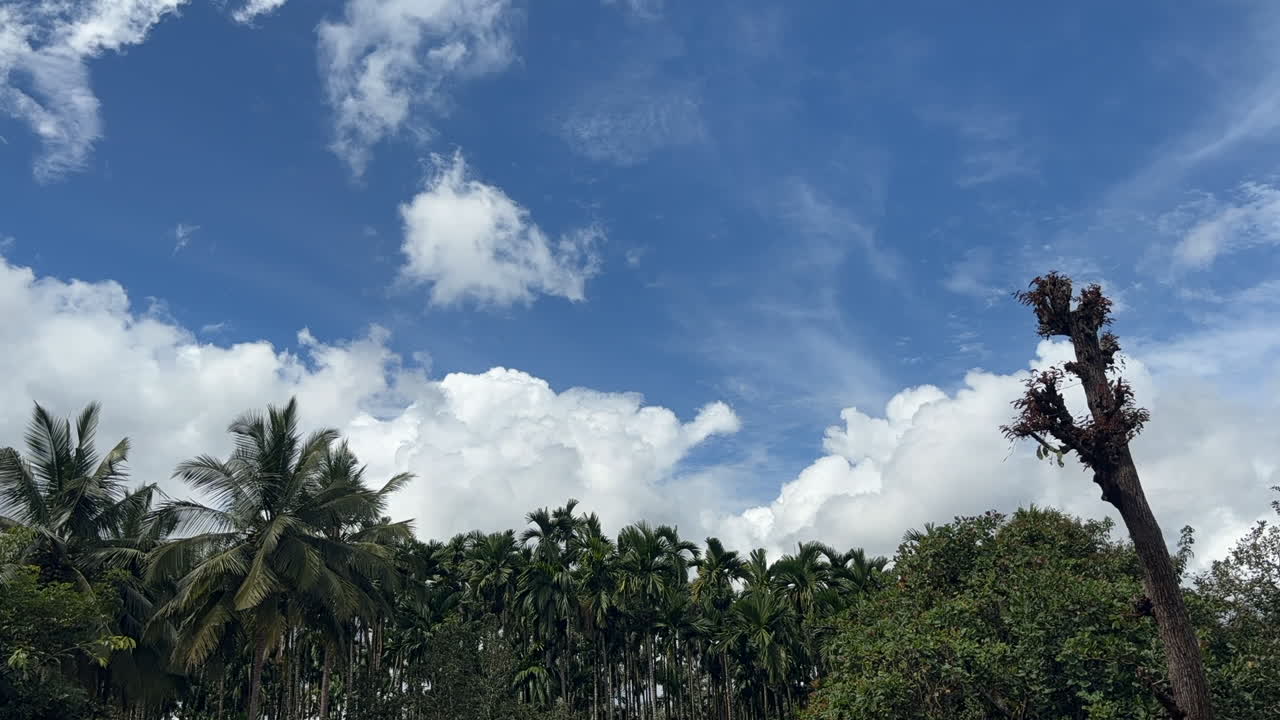 田園地帯の晴れた日の青空に白い雲が浮かぶ風景