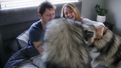 we love our fur babies
