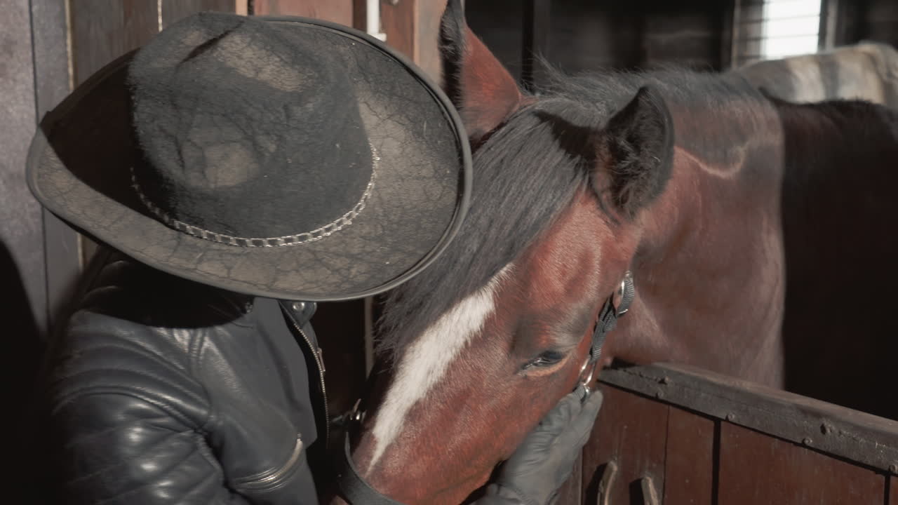 Uomo bianco e cavallo si salutano in tandem nella stalla. L'addestratore, che indossa una giacca di pelle e un cappello a tesa larga, accarezza delicatamente la testa del cavallo. Primo piano caldo, stalla rustica, luce calma, legame intimo e fiducia durante un momento informale.