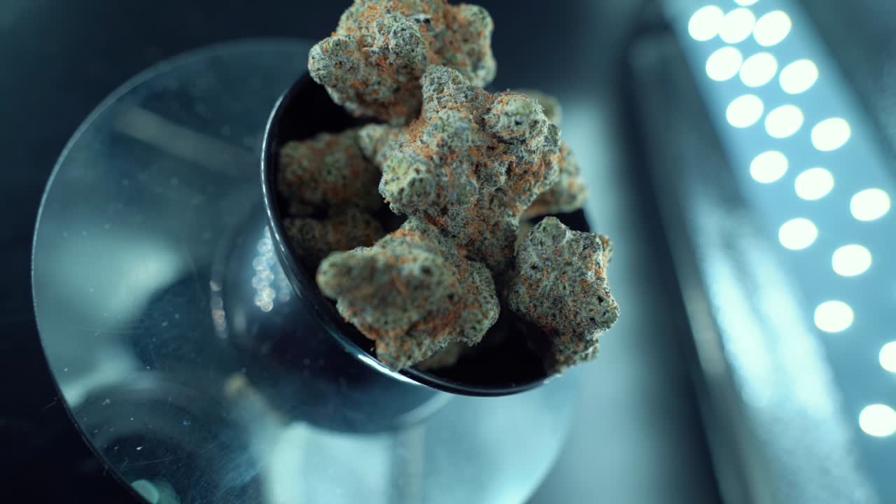 un movimiento de grúa cinematográfico macro creativo suave toma de una planta de cannabis, cepas híbridas de naranja, tipo indica, flor de marihuana verde, cámara lenta 120 fps, luces de estudio, soporte giratorio brillante