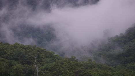 View-of-Lamington-National-Park-under-cloud-and-rain-from-Numinbah-Valley,-Gold-Coast-Hinterland,-Australia