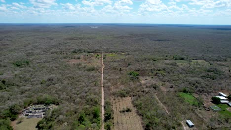 Toma-Aérea-De-Ruinas-Mayas-Y-Selva-Durante-La-Sequía