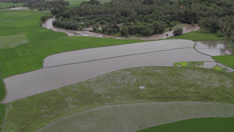 panoramic shot of rice fields at sumba next to a river at a cloudy day, aerial