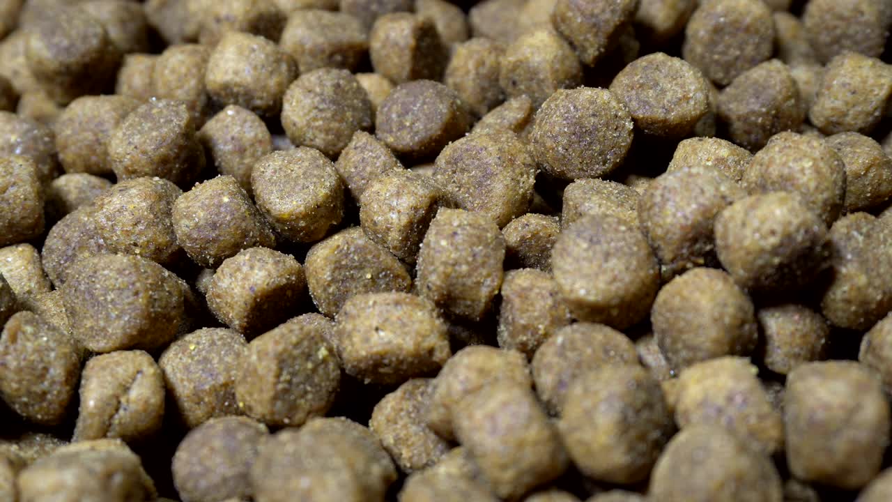 건조한 개 또는 고양이 음식은 테이블에 회전합니다.