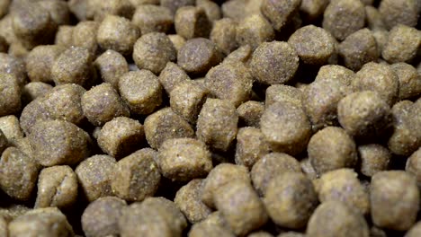 dry dog or cat food rotate on table.
