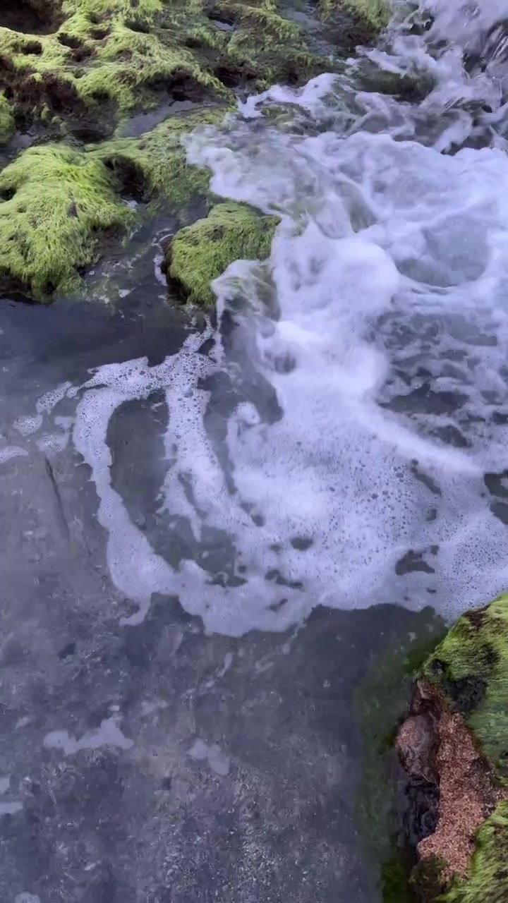 Acqua spumosa che scorre su rocce coperte di muschio in una pozza di marea