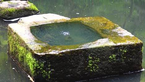 springing water from a stone in a japanese garden