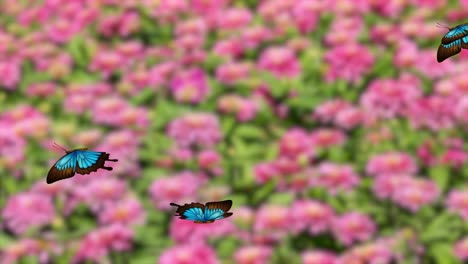 Blue butterflies gracefully flutter above a colorful flower field, creating a lively and serene atmosphere with dynamic movement