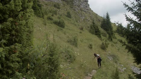 girl picking  st john's wort in beautiful nature