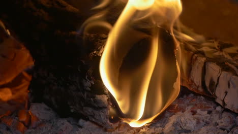 gros plan au ralenti du feu de bois brûlant