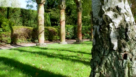 Shadow-of-a-woman-walks-between-the-shadows-of-trees