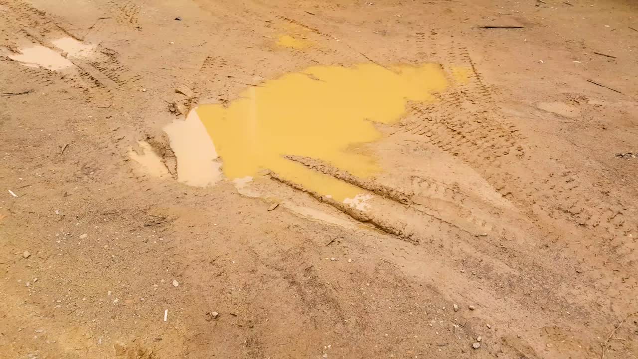 물과 으로 된 진 웅이 uhd 4k로 촬영되었습니다.