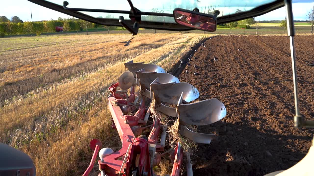 pájaros aterrizando en un campo recién arado detrás del arado, vista desde la cabina del tractor