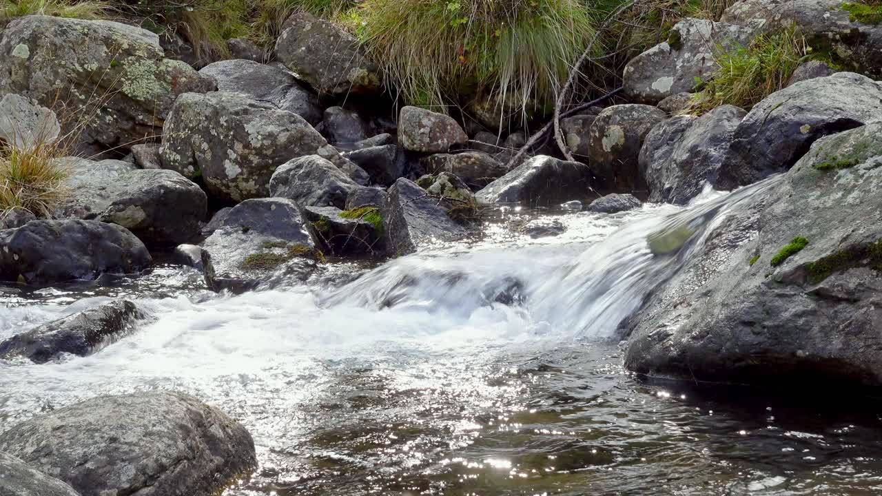 un arroyo natural de montaña fluye a lo largo de un lecho de río pedregoso