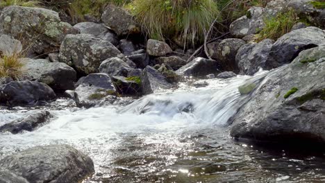 Arroyo-De-Montaña-Natural-Fluye-A-Lo-Largo-De-Un-Lecho-Pedregoso