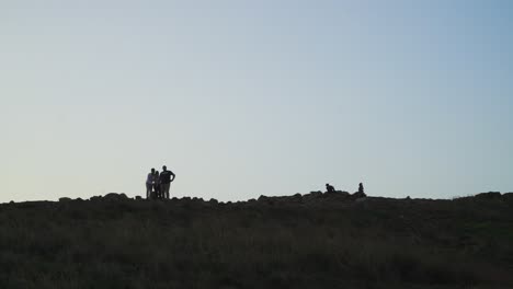 some people silhouetes admiring and having some selfies in the sunset, caniçal, madeira island, portugal.