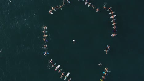 Aerial-Top-view-of-dozens-of-people-floating-in-the-sea-at-Samara-beach-carrying-surfboards-in-a-circle-formation