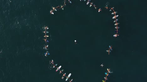 aerial top view of dozens of people floating in the sea at samara beach carrying surfboards in a circle formation