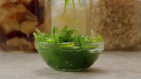 japanese wakame chuka fermented food. close-up on a detail of hiyashi wakame chuka or seaweed salad or seaweed with sesame seeds on a plate. top view. seafood background. health concept.