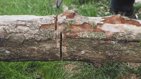 cutting a log with a chainsaw