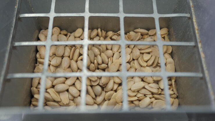 View inside an industrial almond crusher