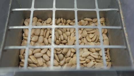 view inside an industrial almond crusher