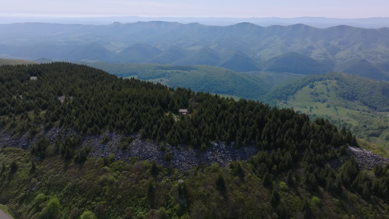 Rozległe korony drzew i odległe grzbiety w Spruce Knob w Zachodniej Wirginii.