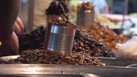 piles of fried insects for sale at the night market