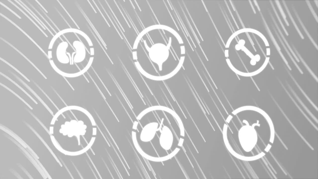 회색 배경에 있는 인체 아이콘의 애니메이션