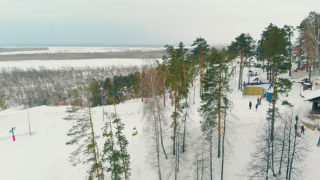 Hang-Bedeckt-Mit-Hohen,-Dünnen-Kiefern-Und-Einer-Dicken-Schneeschicht