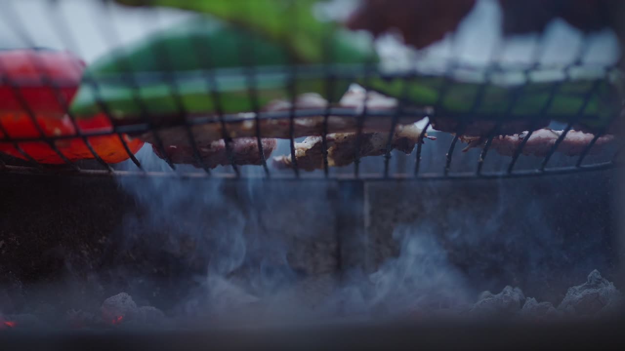 Grilled Vegetables and Meat on a Charcoal Grill