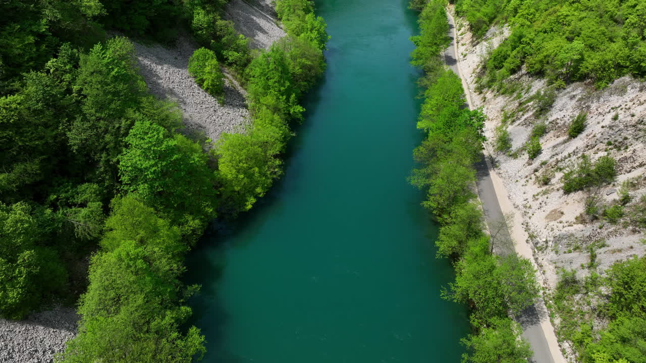 Veduta aerea di un fiume verde che si snoda attraverso una fitta foresta, mettendo in risalto i colori vivaci della prima primavera