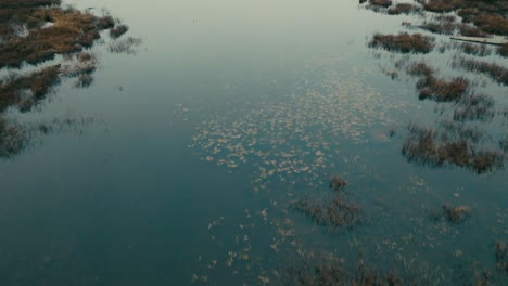 reflexiones a través del lago de humedales en caminatas de montaña cerca de saint-come, quebec, canadá