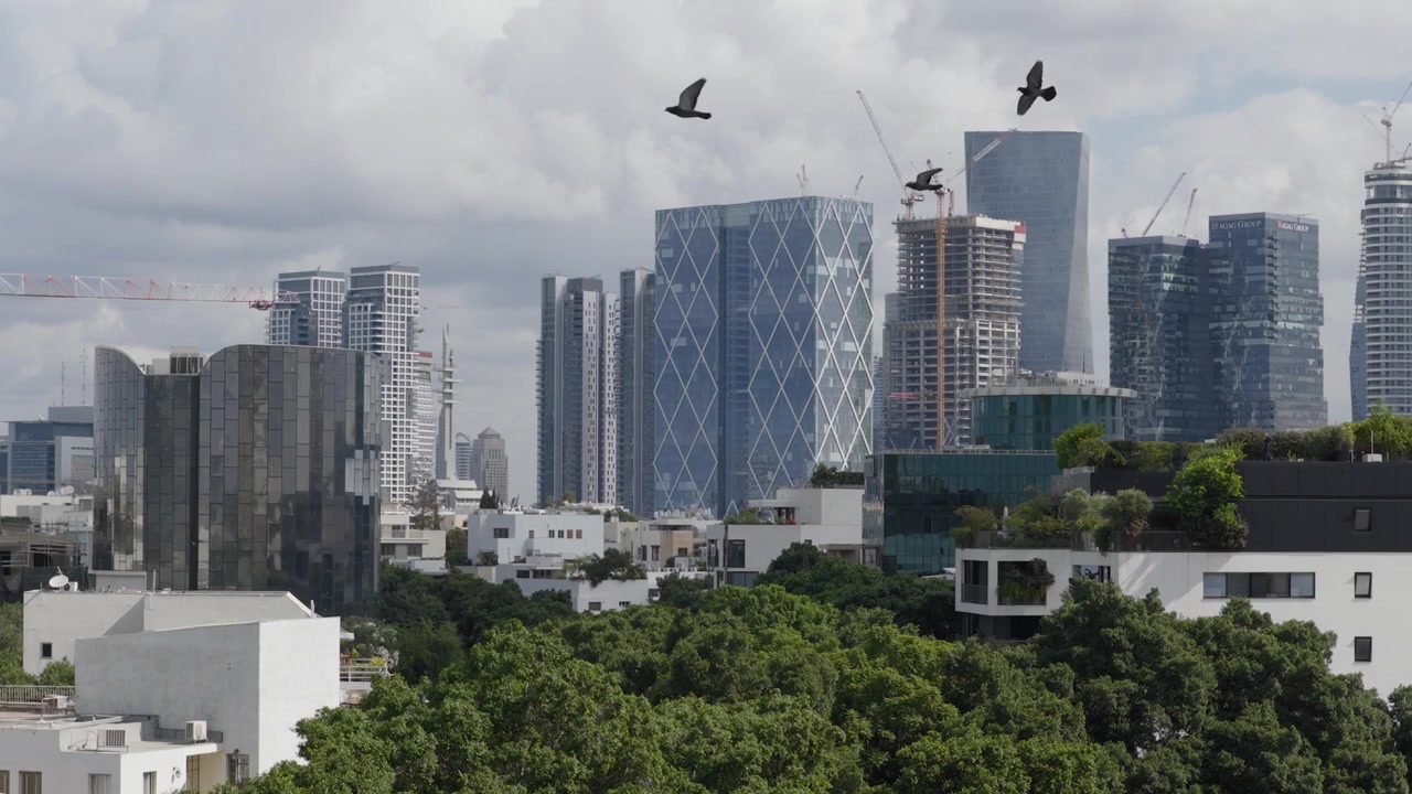Imagem aérea de drone de arranha-céus modernos de vidro e edifícios de escritórios de alta tecnologia em Tel Aviv com pombos voando pela imagem sobre árvores verdes exuberantes