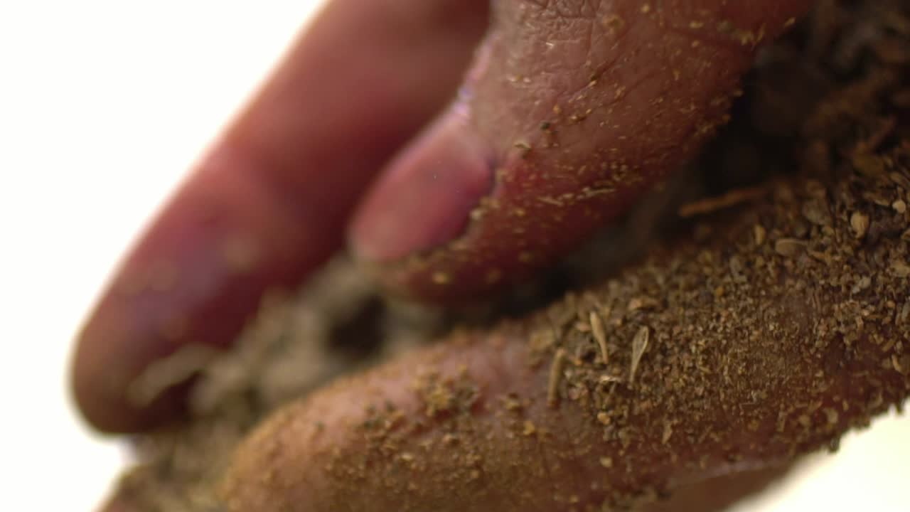Macro Shot Of Hands During The Process Of Making Madder Powder From Plant Roots