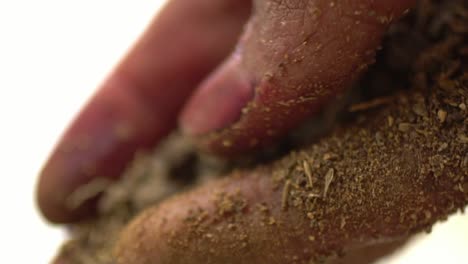 macro shot of hands during the process of making madder powder from plant roots