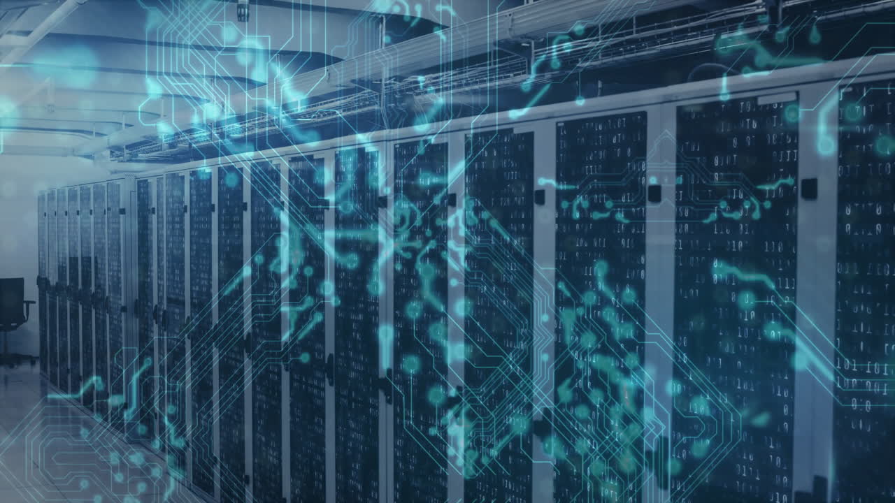 animazione della rete di connessioni sulla sala server