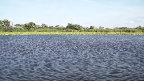 Rippling-Waters-Of-Danube-Delta-With-Lush-Green-Vegetation-On-The-Riverside-Under-The-Bright-Blue-Sky-In-Tulcea,-Romania,-Europe