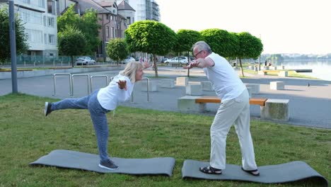 overweight man doing exercises on a fitness mat in the park retirement lifestyle fitness overweight man doing exercises on a fitness mat in the park retirement lifestyle fitness health care working out on a sunny day with a clear sky health