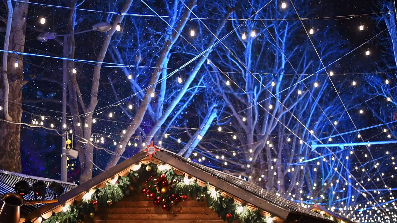 Scenic shot of the snowflakes flying among the lights in the center of the city on Christmas Eve