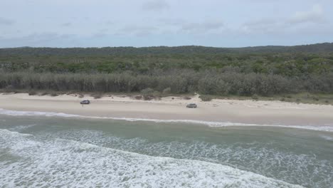 fly away at vehicles traveling in sandy shore of north stradbroke island in moreton bay, queensland, australia