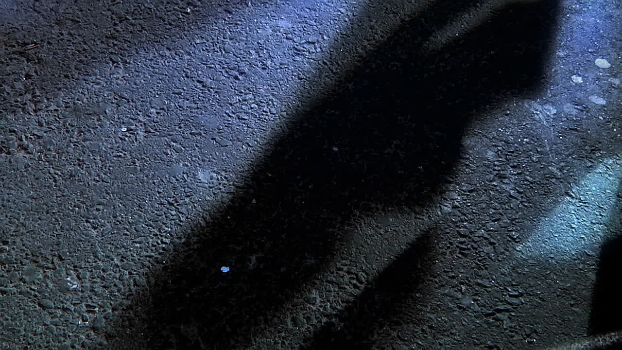 las sombras de los peatones caminando por una calle de la ciudad