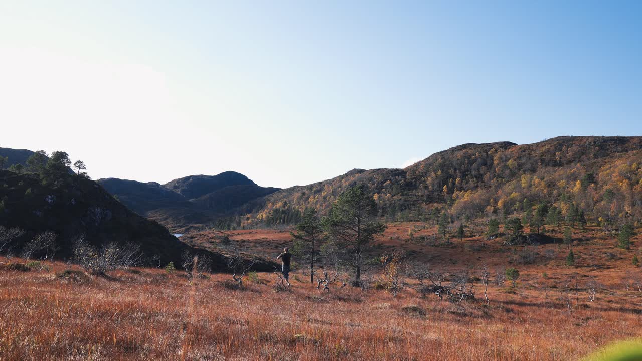 человек, лопаясь от радости, бежит по сухому лугу, подпрыгивая в воздух