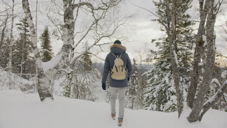 hombre caminando en el bosque nevado