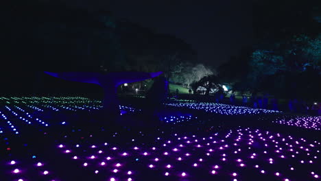 hundreds of bright flashing lights on the ground of sydney botanic gardens for vivid in slow motion