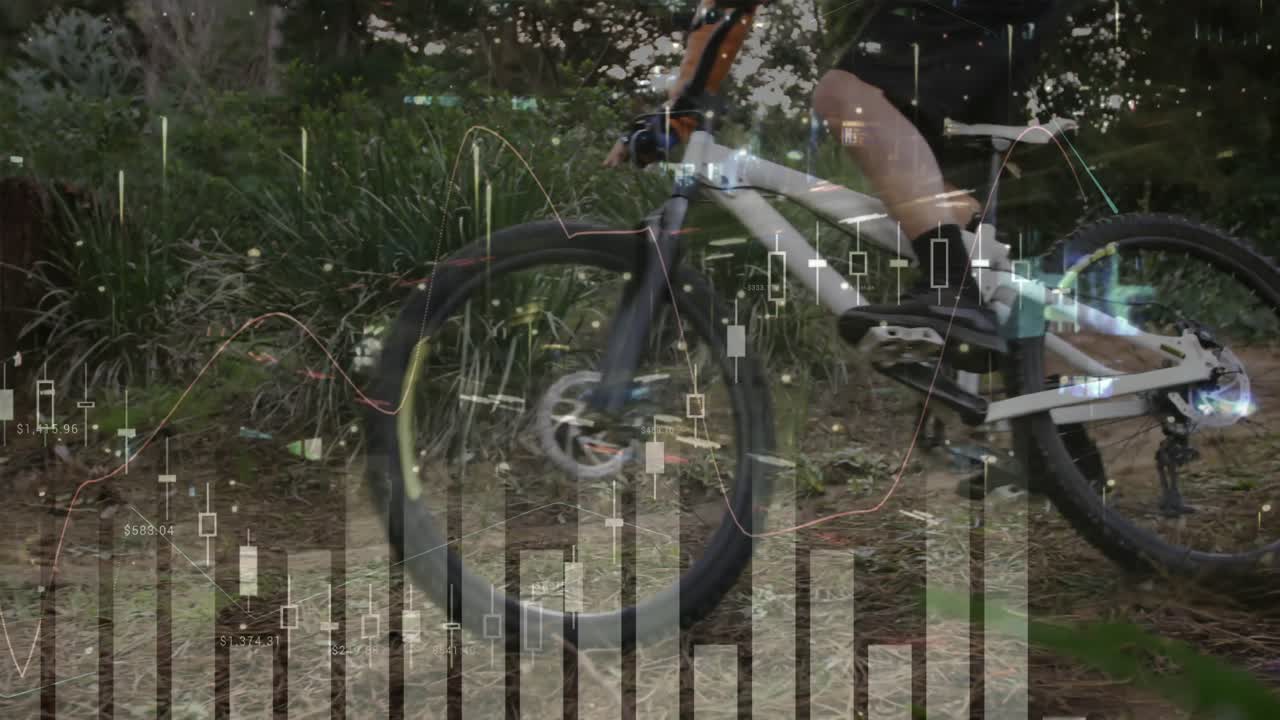 숲에서 인간이 자전거를 타는 것에 대한 통계 데이터 처리