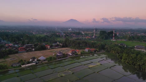 pink sky sunset with mount agung in the background and rice paddies reflecting the sky - ubud, bali - indonesia