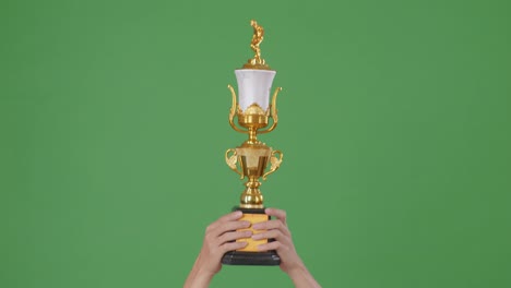 raised hands of a man are holding a trophy. green screen background