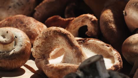 close-up of assorted mushrooms